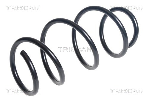 Arc spiral 8750 11228 TRISCAN