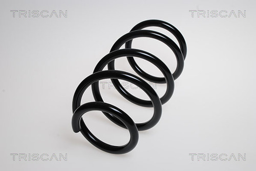 Arc spiral 8750 15126 TRISCAN