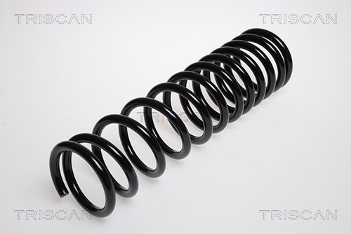 Arc spiral 8750 16003 TRISCAN