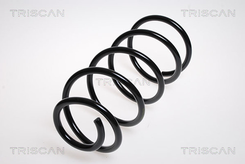 Arc spiral 8750 16042 TRISCAN