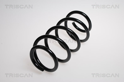 Arc spiral 8750 16056 TRISCAN