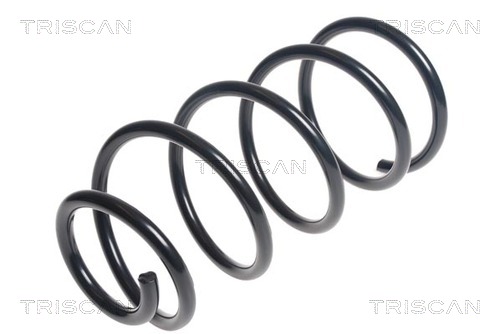 Arc spiral 8750 16102 TRISCAN