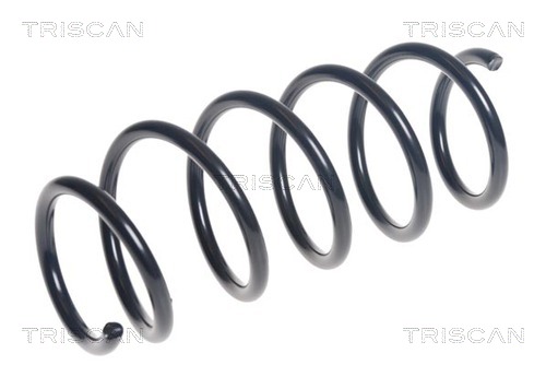 Arc spiral 8750 16125 TRISCAN