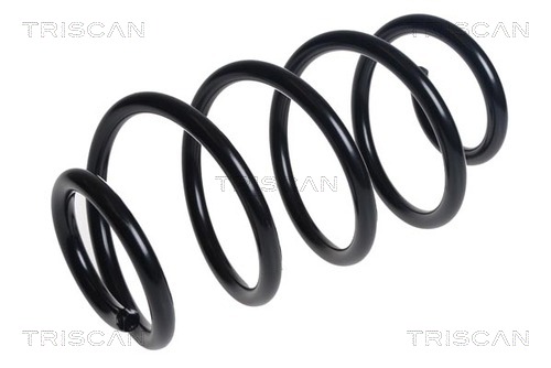 Arc spiral 8750 16132 TRISCAN