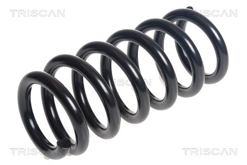 Arc spiral 8750 16135 TRISCAN
