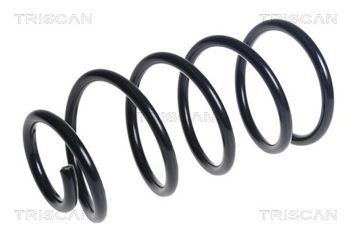 Arc spiral 8750 16137 TRISCAN