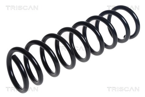 Arc spiral 8750 16143 TRISCAN