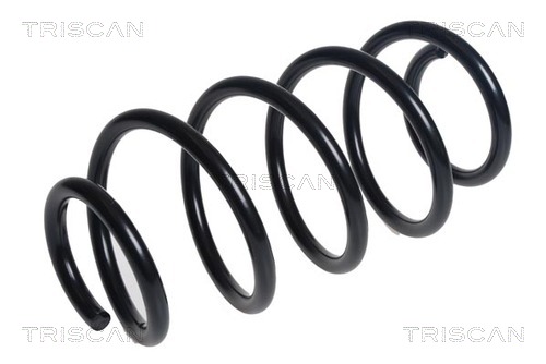 Arc spiral 8750 16148 TRISCAN