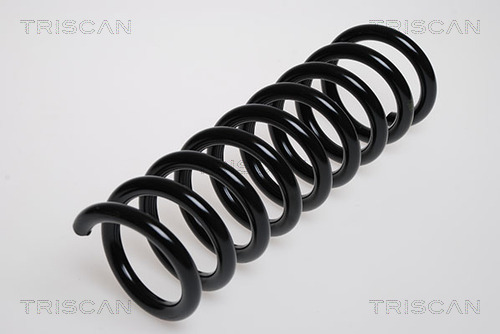 Arc spiral 8750 2346 TRISCAN