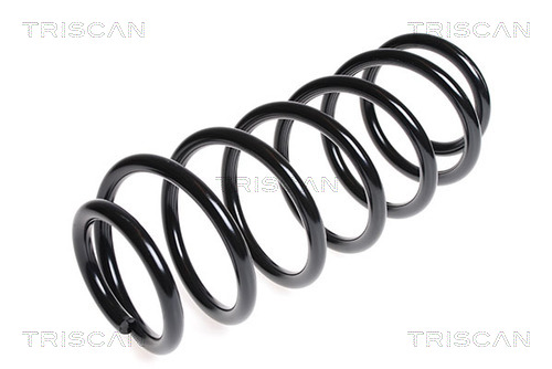Arc spiral 8750 24149 TRISCAN
