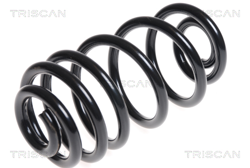 Arc spiral 8750 24165 TRISCAN