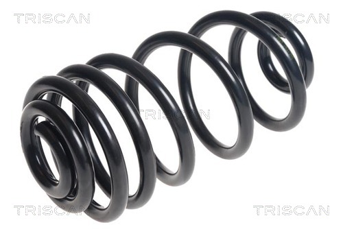 Arc spiral 8750 24187 TRISCAN