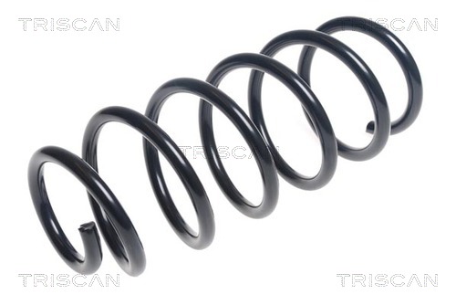 Arc spiral 8750 24198 TRISCAN