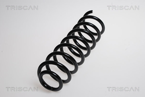 Arc spiral 8750 2560 TRISCAN