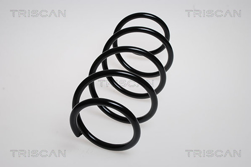 Arc spiral 8750 2561 TRISCAN
