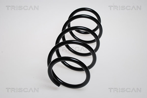 Arc spiral 8750 2563 TRISCAN