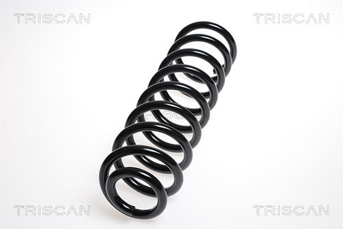 Arc spiral 8750 2567 TRISCAN