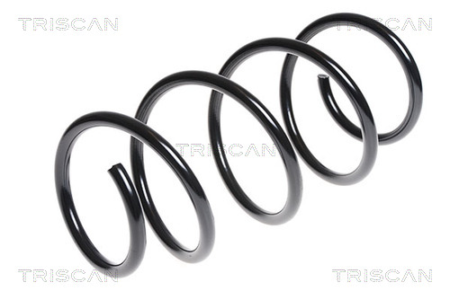 Arc spiral 8750 2576 TRISCAN