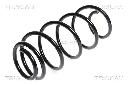 Arc spiral 8750 28133 TRISCAN