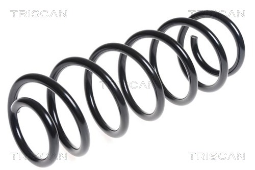 Arc spiral 8750 28207 TRISCAN