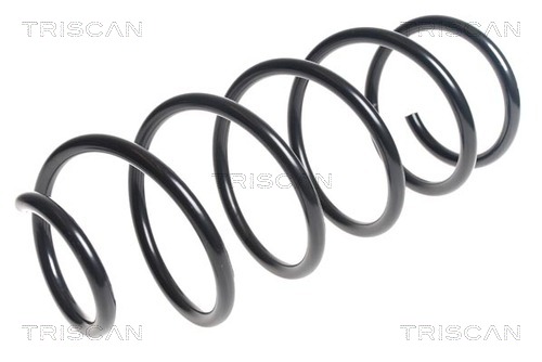 Arc spiral 8750 28213 TRISCAN