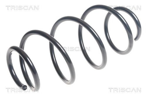 Arc spiral 8750 28230 TRISCAN