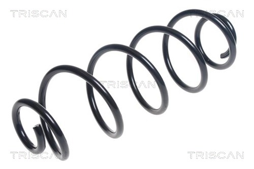 Arc spiral 8750 28276 TRISCAN