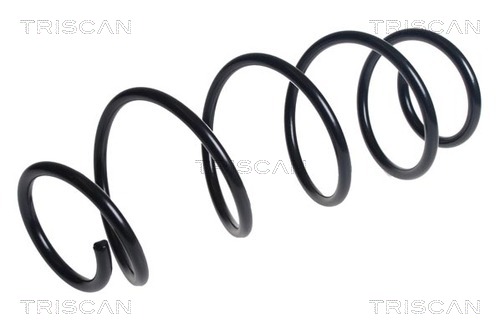 Arc spiral 8750 28277 TRISCAN