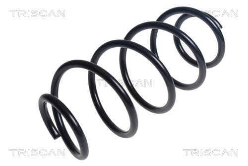 Arc spiral 8750 28301 TRISCAN