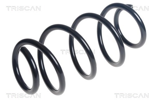 Arc spiral 8750 28309 TRISCAN