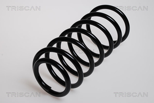 Arc spiral 8750 29019 TRISCAN