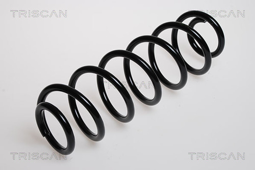 Arc spiral 8750 29075 TRISCAN