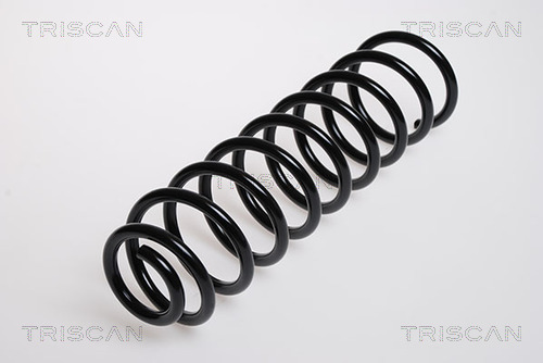 Arc spiral 8750 29104 TRISCAN