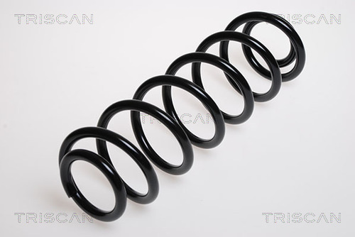 Arc spiral 8750 29125 TRISCAN