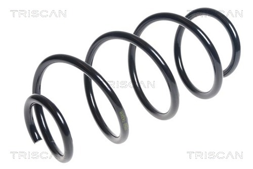Arc spiral 8750 29337 TRISCAN