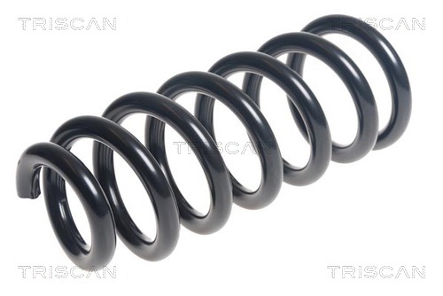 Arc spiral 8750 29357 TRISCAN