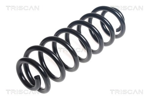 Arc spiral 8750 29391 TRISCAN