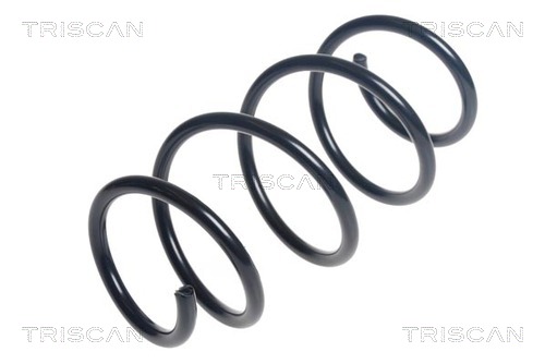 Arc spiral 8750 29432 TRISCAN