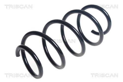 Arc spiral 8750 29433 TRISCAN