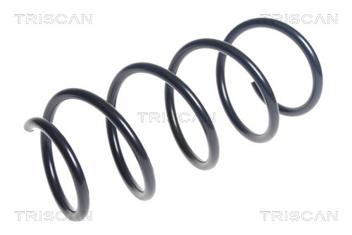 Arc spiral 8750 29436 TRISCAN