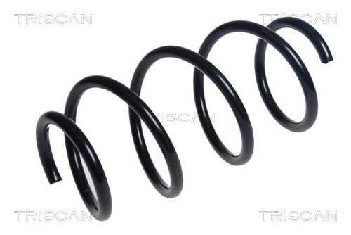 Arc spiral 8750 29442 TRISCAN