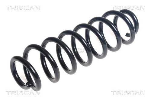Arc spiral 8750 29448 TRISCAN