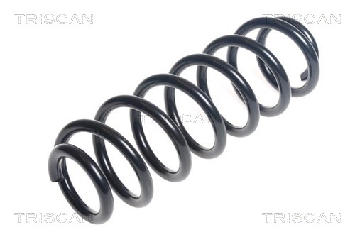 Arc spiral 8750 29451 TRISCAN
