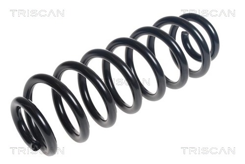 Arc spiral 8750 29456 TRISCAN