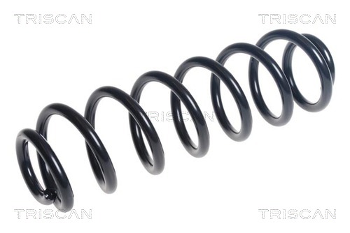 Arc spiral 8750 29460 TRISCAN