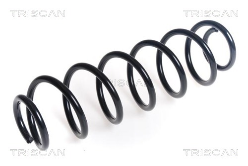 Arc spiral 8750 29463 TRISCAN