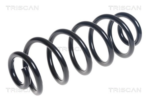 Arc spiral 8750 29469 TRISCAN