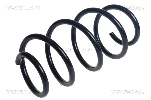 Arc spiral 8750 29486 TRISCAN