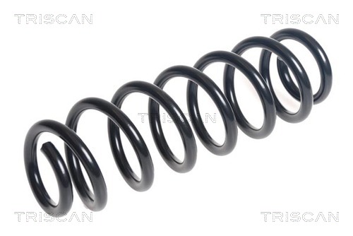 Arc spiral 8750 29491 TRISCAN