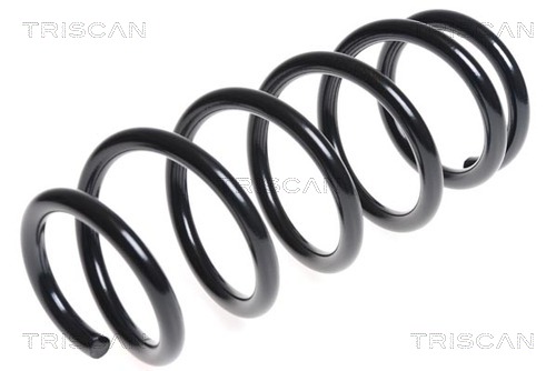 Arc spiral 8750 5096 TRISCAN